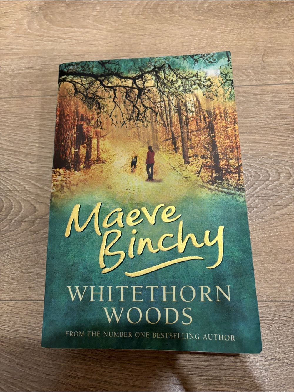 Whitethorn Woods by Maeve Binchy - $5 add on